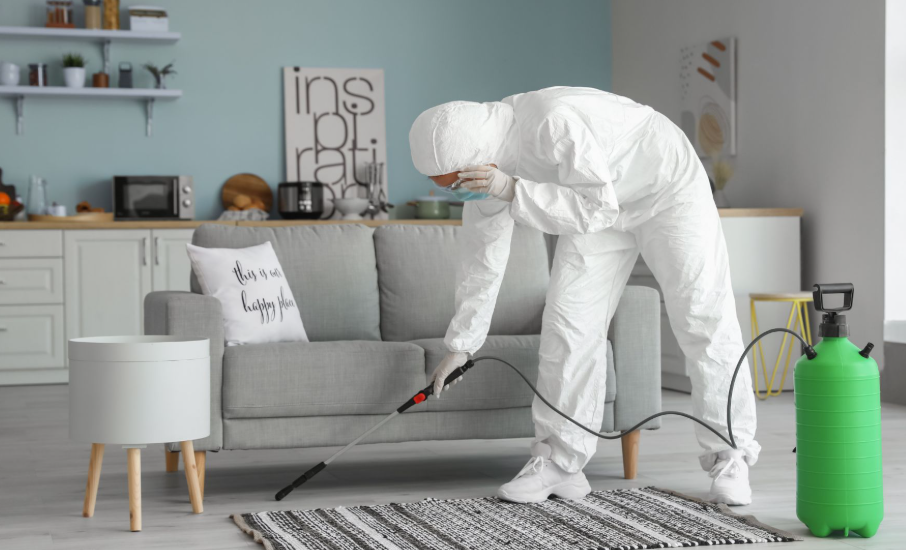 Why Use a Professional Sterilization and Disinfectant Service!