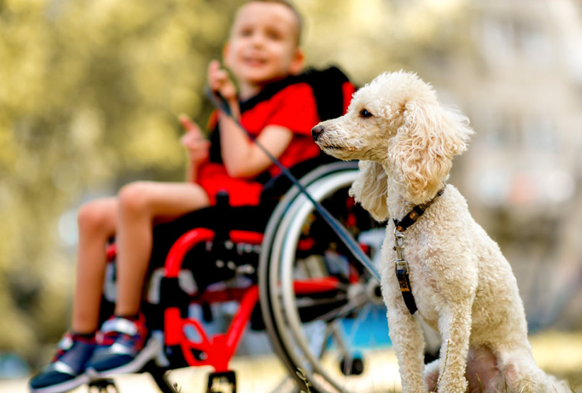 What Makes Therapy Dogs So Effective for Special Needs Children