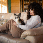 Living with Chihuahua Puppies for Sale in New York: Small Paws, Big Adventures