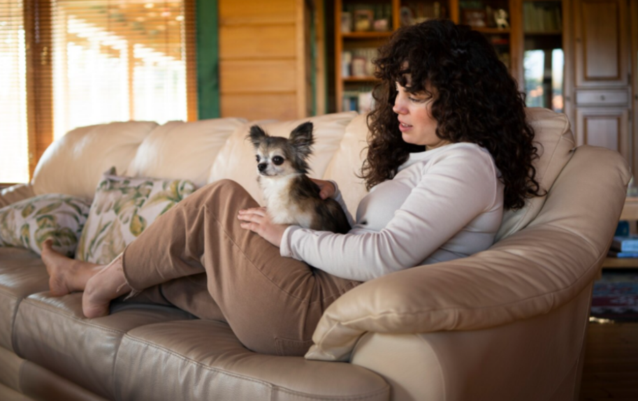 Living with Chihuahua Puppies for Sale in New York: Small Paws, Big Adventures