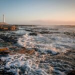 commercial signal discovery ledger