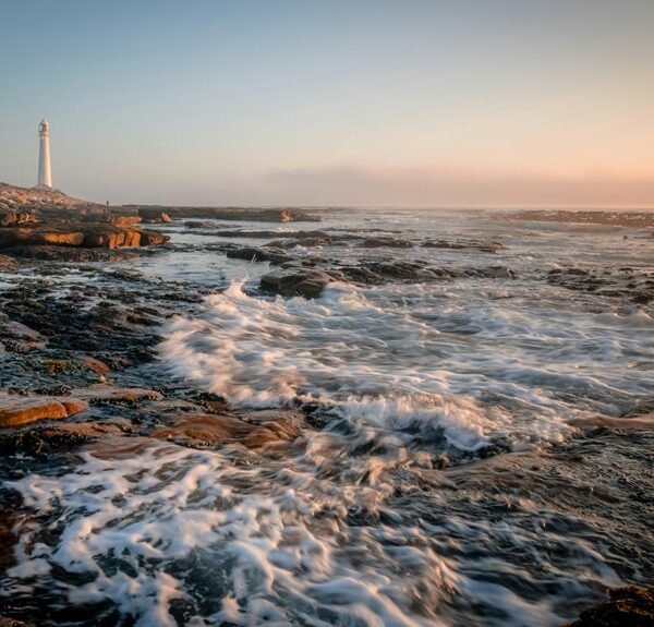 commercial signal discovery ledger