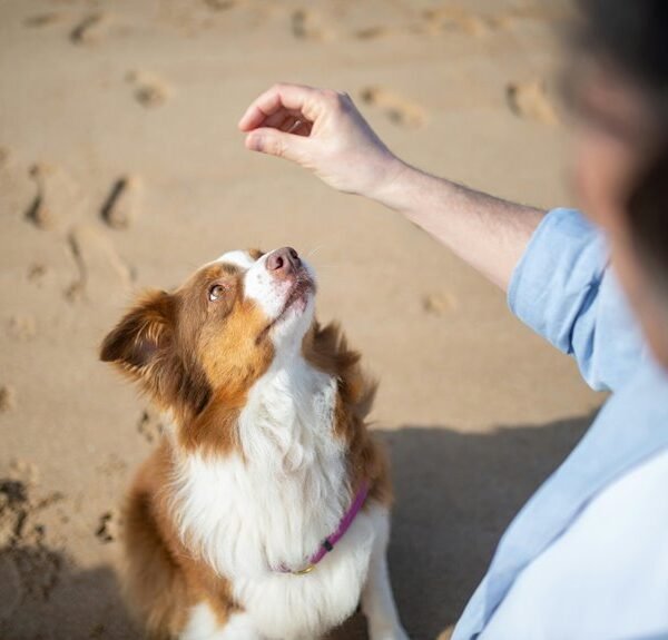 commercial signal intelligence overview