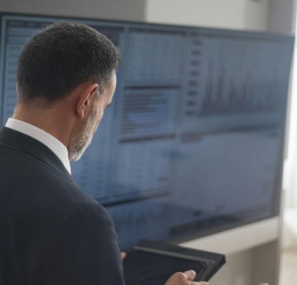 sector momentum analysis insights