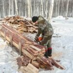 First Steps in Hunting: The Most Common Pitfalls to Avoid
